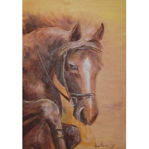 Koń - olej na płótnie 60 x 80 cm 