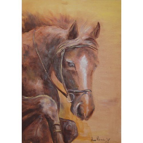 Koń - olej na płótnie 60 x 80 cm 