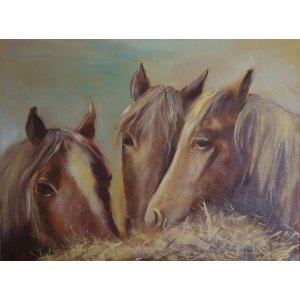 Konie - olej na płótnie 60 x 80 cm 